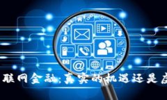 : 区块链互联网金融：真实的机遇还是虚幻的泡沫