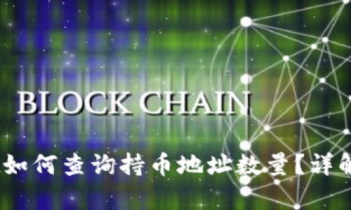 bianotitpwallet如何查询持币地址数量？详解使用方法与技巧